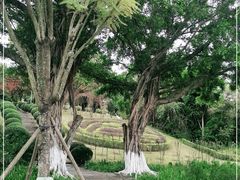 -紫马岭公园