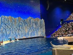 -珠海长隆海洋王国