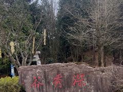 -四明山国家森林公园