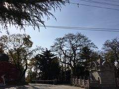 -观象山公园
