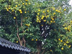 -汇龙潭