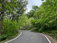 -南京老山国家森林公园