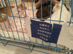 -仲盛世界商城