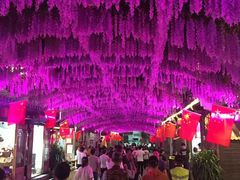 -婺源梦里老家大型山水实景演出