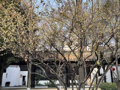 -南京民俗博物馆(甘熙故居)