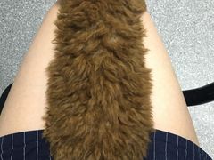 -美联众合动物医院·24h京西诊疗中心