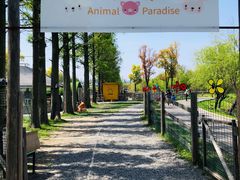 -前小桔亲子创意农场·草莓采摘·露营烧烤