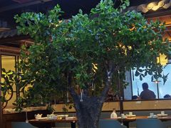 大堂-三凤酒家·百年无锡菜(清扬茂业店)