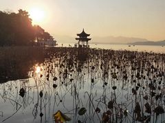 -孙奶奶葱包桧