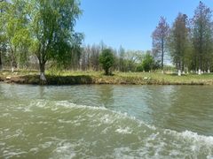 -苏州太湖国家湿地公园