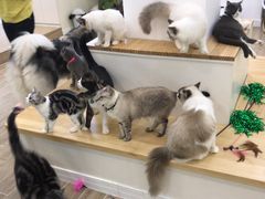 -李小姐の猫咖啡馆(五角场店)