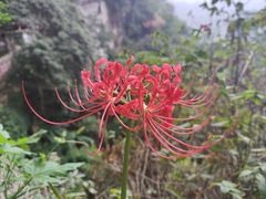 -东南悬空寺方广岩