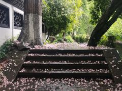 -北山街历史文化街区