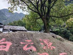 -白云源风景区
