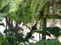 -北马山庄植趣咖啡