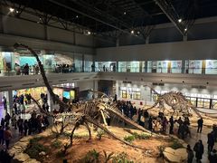 -自贡恐龙博物馆