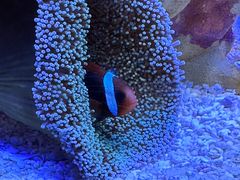 -上海海洋水族馆