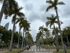 -厦门大学(思明校区)