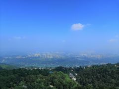 -大金鹰园