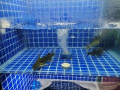 -小小河边鱼·黄辣丁鲜鱼锅(黎阳店)