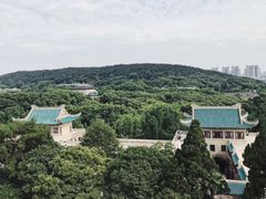 -武汉大学-樱园