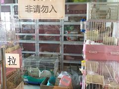 -藦茜花园宠物主题亲子互动体验馆(国顺东路店)
