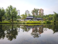 -和平公园
