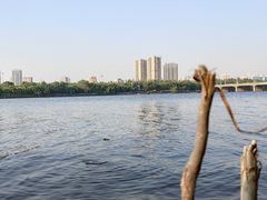 -长白岛森林公园