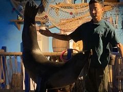 -常州海昌海洋探索馆
