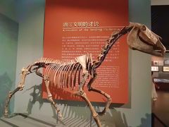 -齐齐哈尔市博物馆