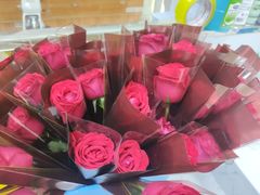 -pd派德宠物中心医院24H急重症·眼科中心·血液透析中心(嵩山北路店)