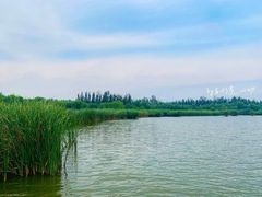 -西青郊野公园