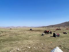 -塞罕坝国家级自然保护区