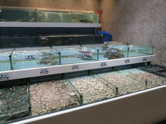 水产区-新海利(北岭店)