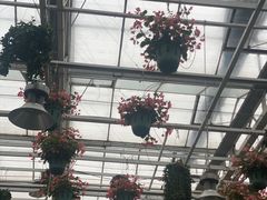 -天宫南铂玫瑰园酒店
