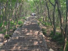 -紫金山天文台