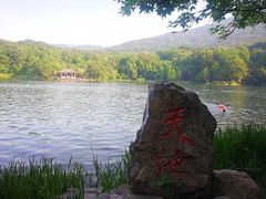 -紫霞湖公园
