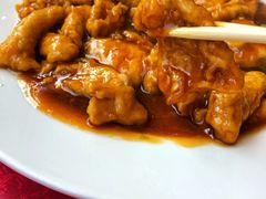 生大烤-老苏扬饭店