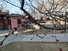 -桃花堤公园