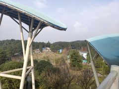 -铁山坪森林公园