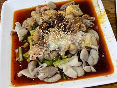 招牌热拌肥肠-朱大嘴肥肠血旺(福字街店)