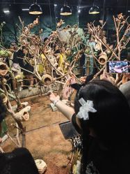 -Zoolung Zoolung动物主题公园(海信广场店)