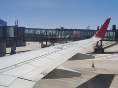 -槐店王婆大虾(新正路店)