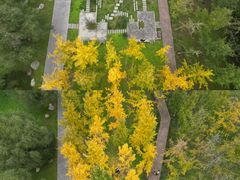 -汉长安城未央宫国家考古遗址公园