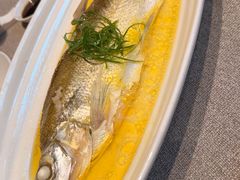 葱油清蒸白鱼-太湖饭店·寄畅轩中餐厅