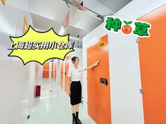 -安东易迷你仓自助寄存仓库(淞虹路店)