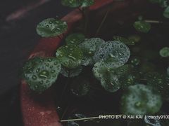 -远山有窑