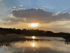 -上海海湾国家森林公园