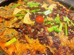 -老板恋上鱼(恒隆广场店)