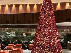 -北京望京凯悦酒店The Lounge大堂酒廊